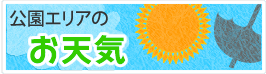 公園エリアのお天気